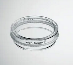 德國(guó)艾本德(Eppendorf)Cell Culture Dishes, 35 mm, 無(wú)菌、無(wú)熱原，無(wú) RNase和DNase，無(wú)人類和細(xì)菌DNA。無(wú)細(xì)胞毒素, 未處理, 3.0mL, 300個(gè)