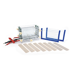 北京六一DYCZ-30C型雙板夾芯式垂直電泳儀