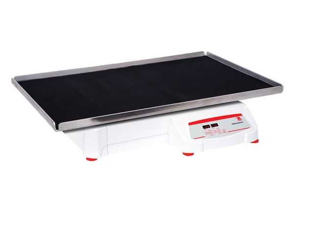 美國(guó)奧豪斯，OHAUS，脫色搖床，回旋振蕩器，圓周振蕩器，大負(fù)載圓周式搖床，SHHD6825DG