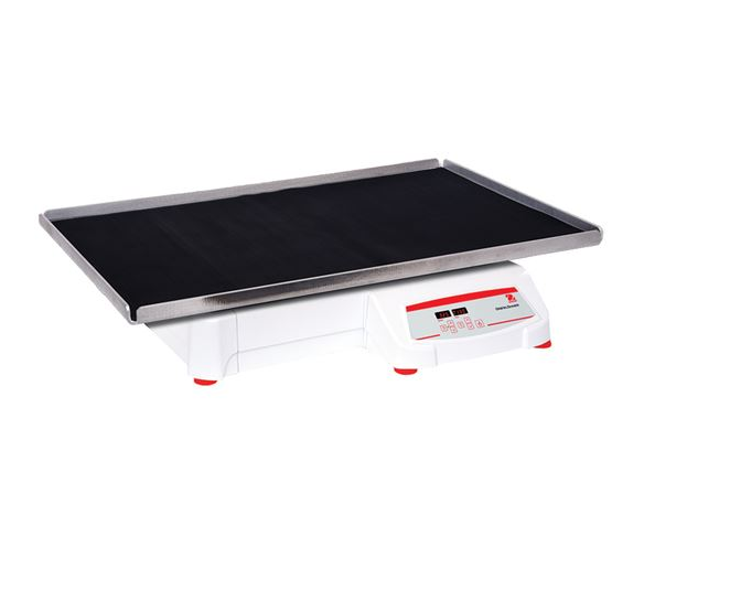 美國(guó)奧豪斯，OHAUS，脫色搖床，回旋振蕩器，圓周振蕩器，大負(fù)載圓周式搖床，SHHD6850DG